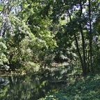 Canal du Rhône Au Rhin